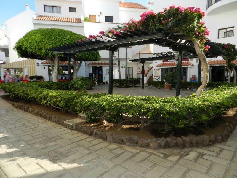 Apartment Cristian Sur Los Cristianos  Exterior foto